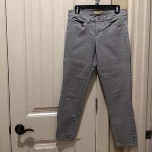 Brand New Tory Burch Pants